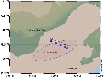 Switch of Bacteria Community Under Oxygen Depletion in Sediment of Bohai Sea